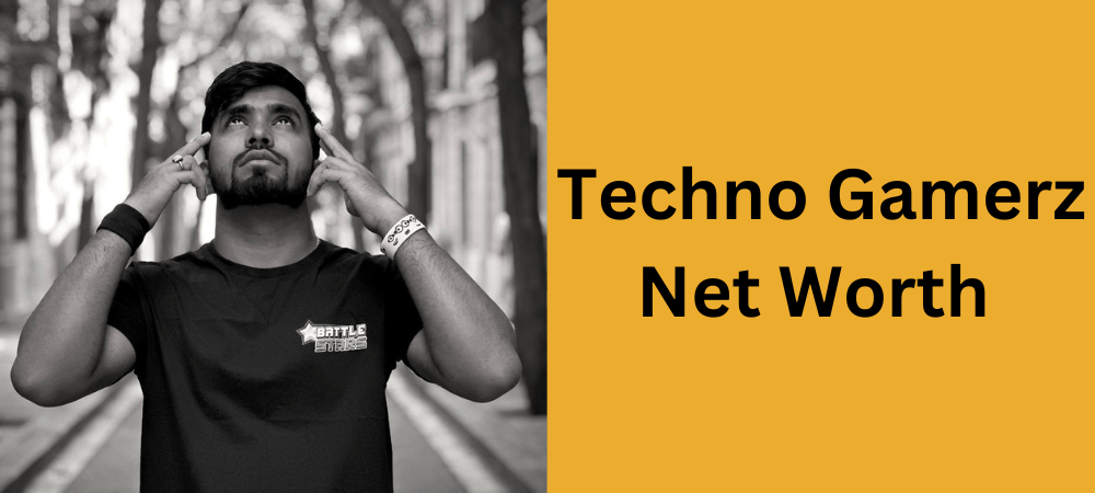 techno gamerz networth